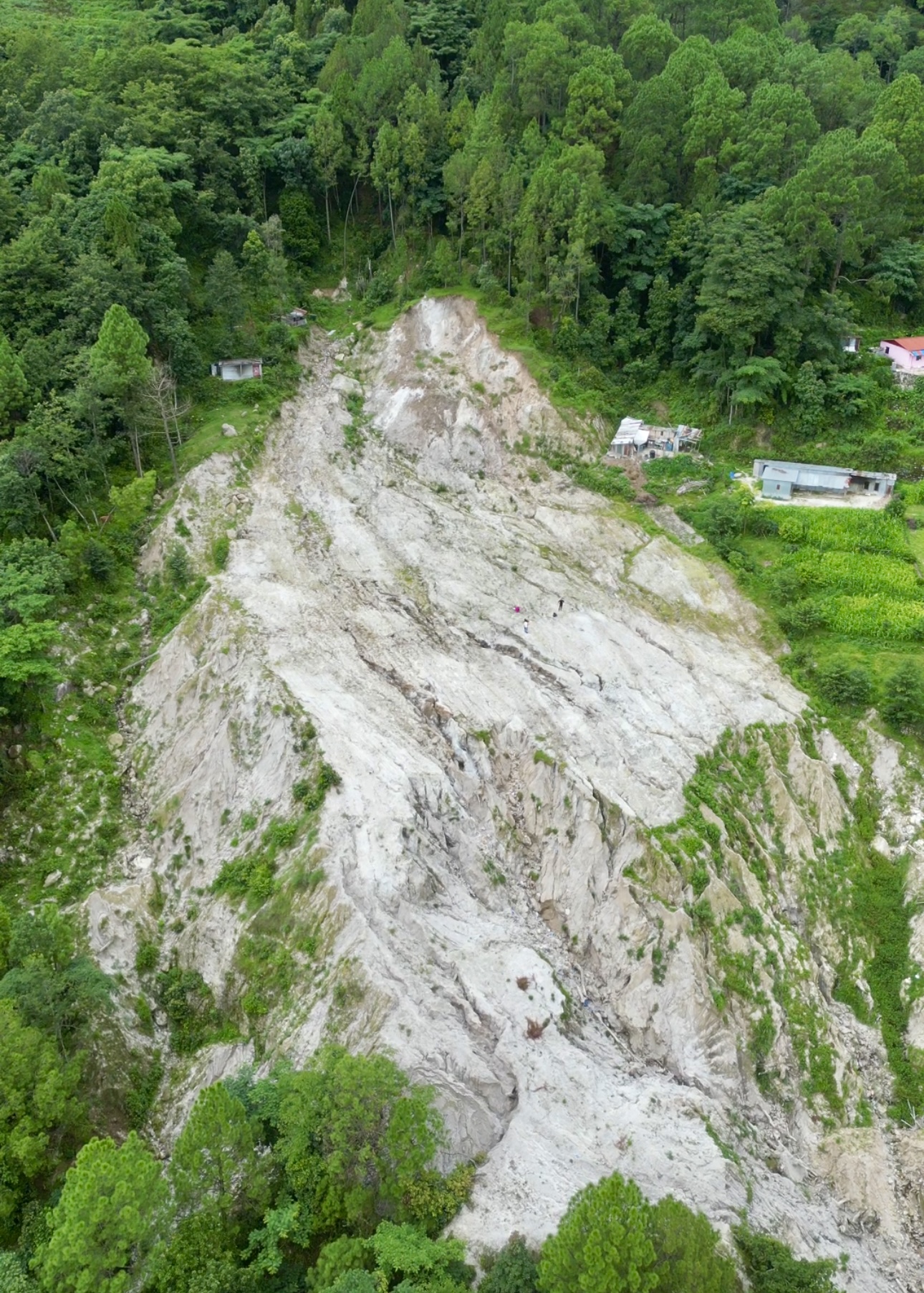 Picture of Tarkeshwor Municipality, Bagmati